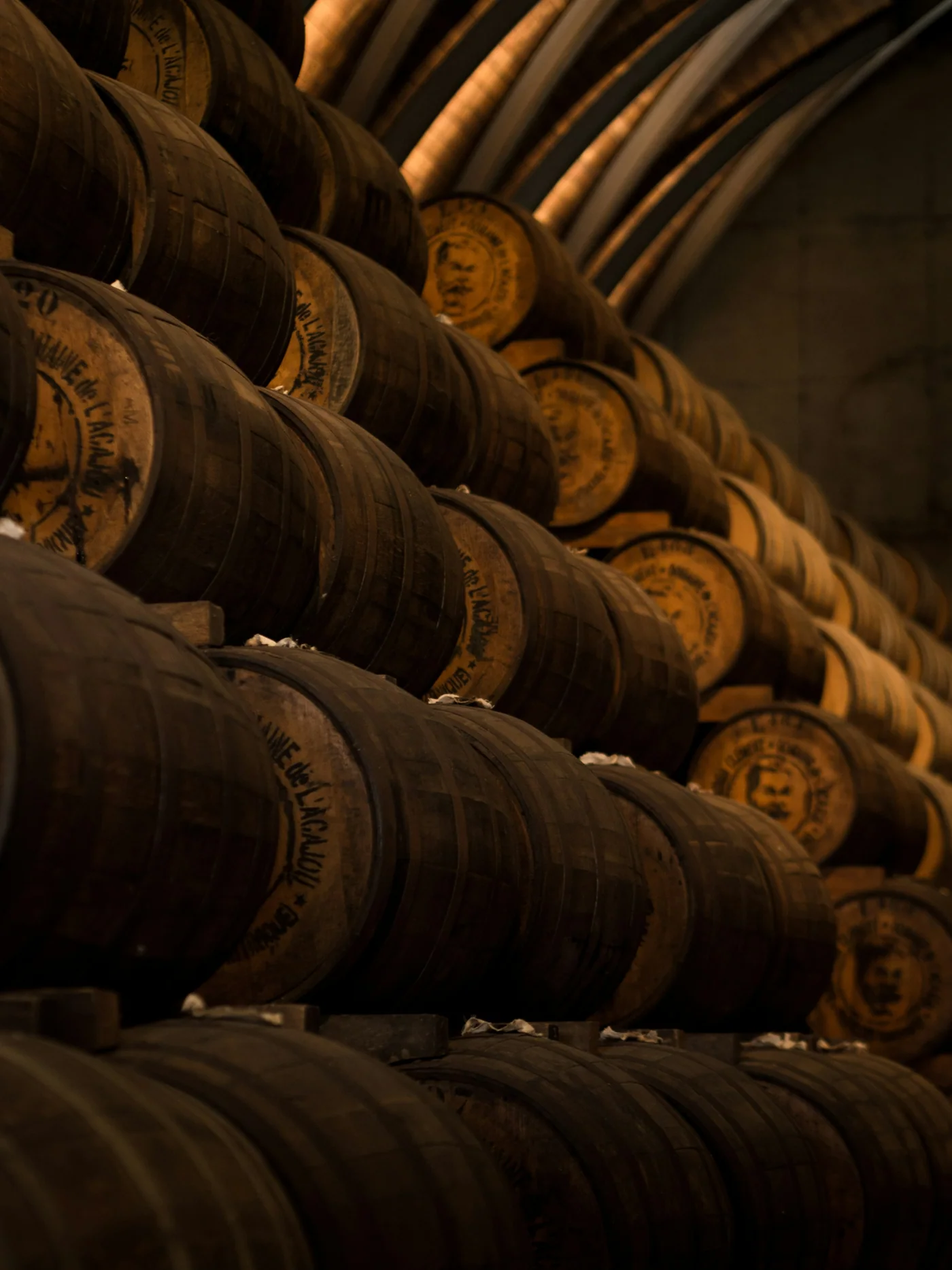 Oak barrels resting in low light